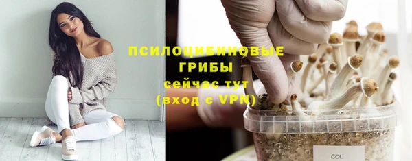 индика Артём