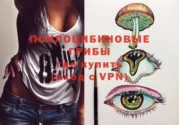 прущие крисы Вяземский