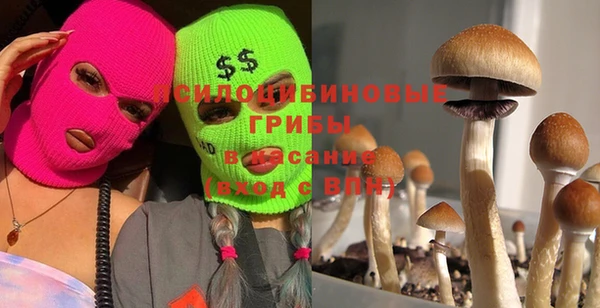 дживик Ачинск