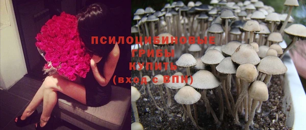 прущие крисы Вяземский